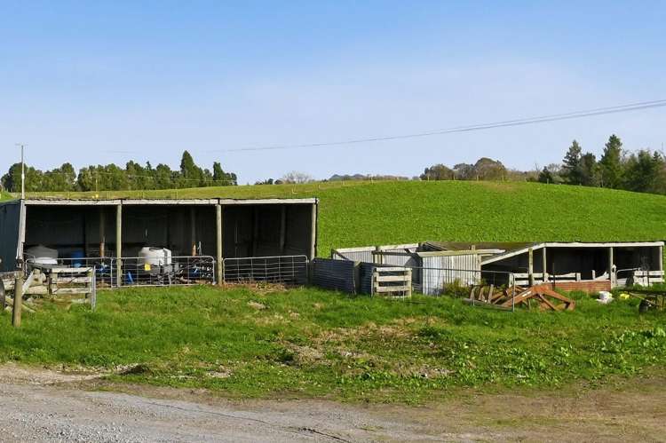 365 Halcrow Road Reporoa_14