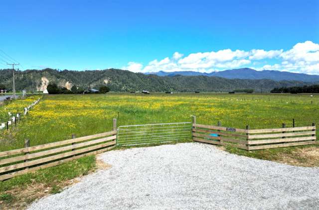 Gannon's Road Reefton_1