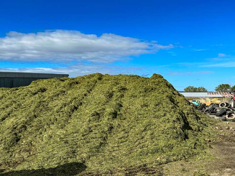 222 Boggyburn Road Winton Surrounds_24