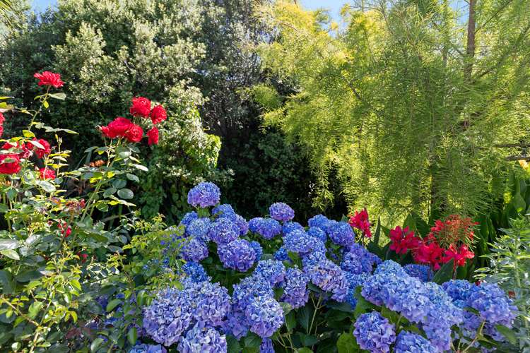 25 Mcpherson Drive Morrinsville_18