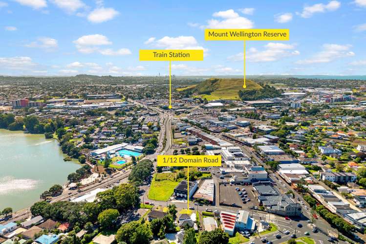 1/12 Domain Road Panmure_14