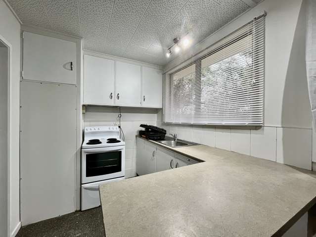 194A Don Buck Road Massey_2