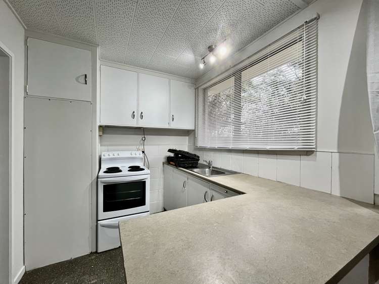 194A Don Buck Road Massey_2