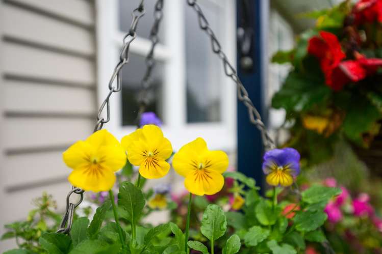 10 Fairview Avenue Feilding_14