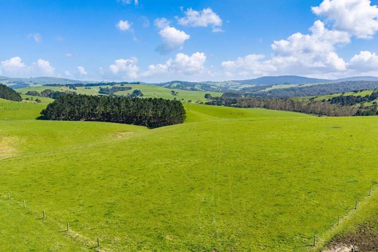 3902 State Highway 12 Dargaville_13