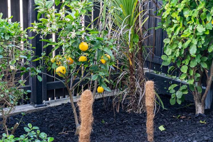 5 Tuhono Lane Northcote_26