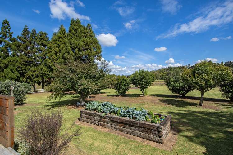 133 Apotu Road Kauri_11