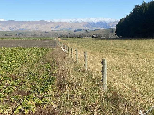 305 Tengawai Flat Road Pleasant Point_3