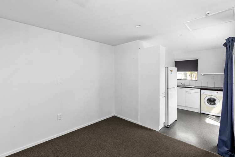 3 Dorset Place Tamatea_19