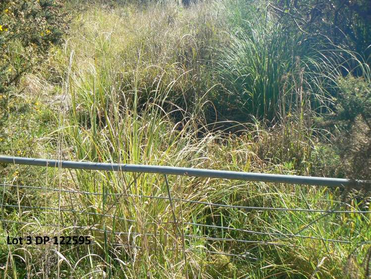 Lot 2/3 Duddy Road Kaikohe Rd1_6