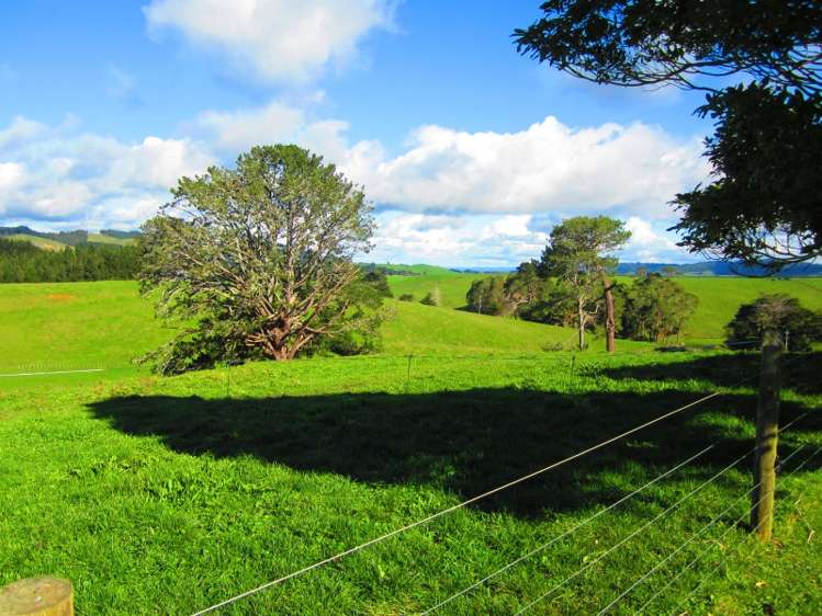 559 Kaiaua Road Mangatangi_20