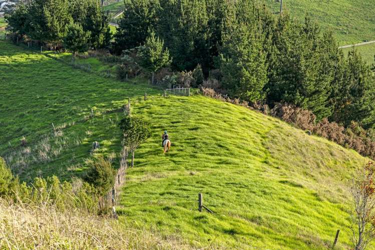 810A Whareora Road Whareora_9