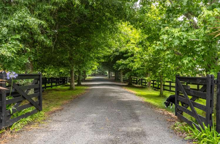 113 North Road Clevedon_2