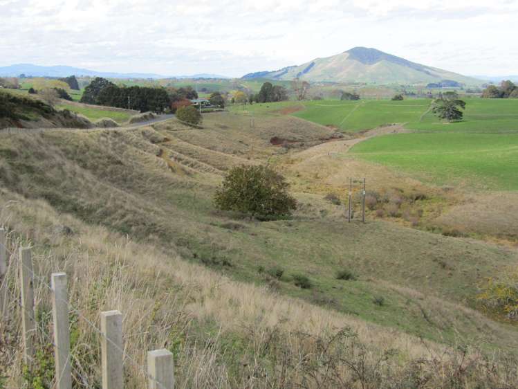 Te Tahi Road Pirongia_4