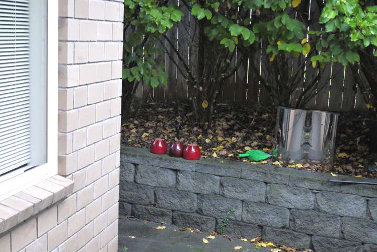 35 Norwood Drive Flat Bush_11