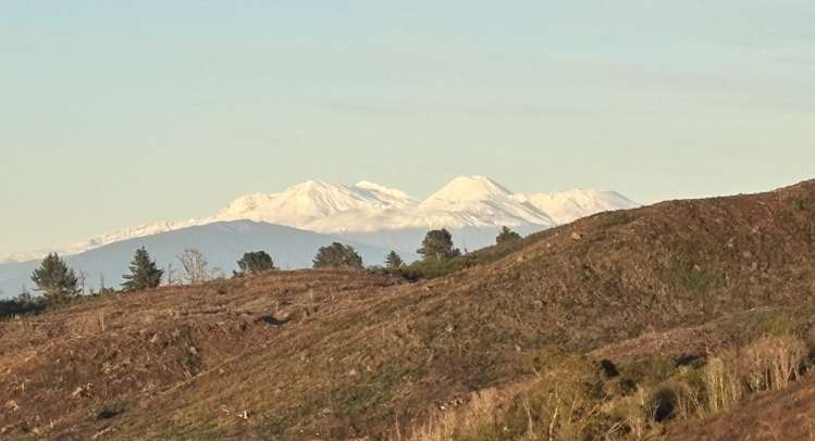 85 Mapara Road Acacia Bay_34