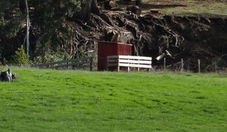 134 Millars Road Longbush_6