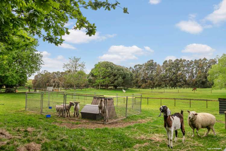 558c Waiau Pa Road Waiau Pa_22