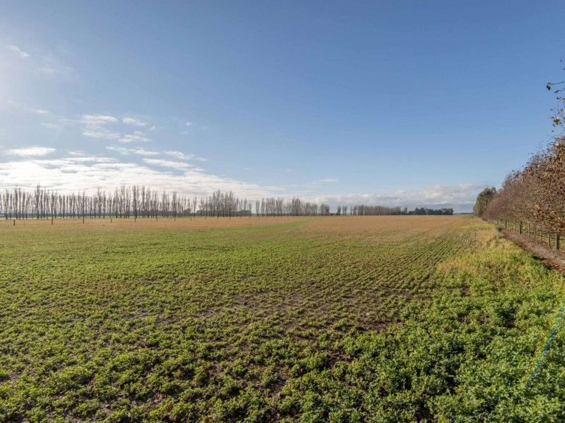 190a Weedons Road Lincoln_0