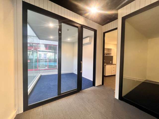 295 Parnell Road Parnell_2