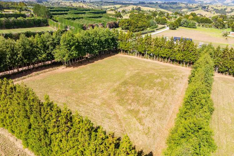 176 Whatitiri Road Maungatapere_10