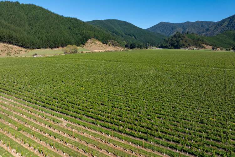 95 Speeds Road Koromiko_14