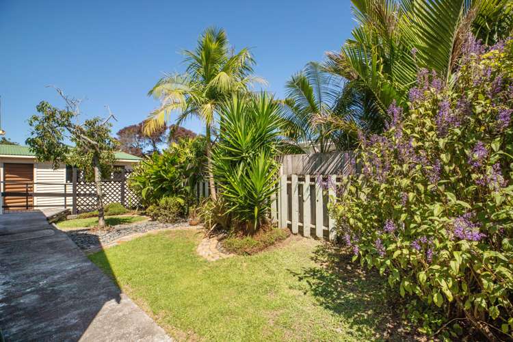 10a Arran Street Avondale_15