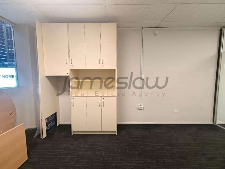 123 Manukau Road Epsom_16