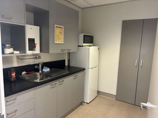 29 Kermode Street Ashburton_3