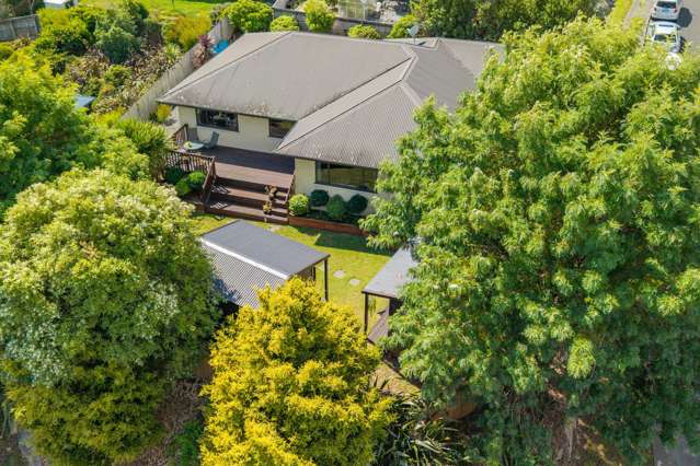 Home Plus 2 Cabins in Bishopdale!