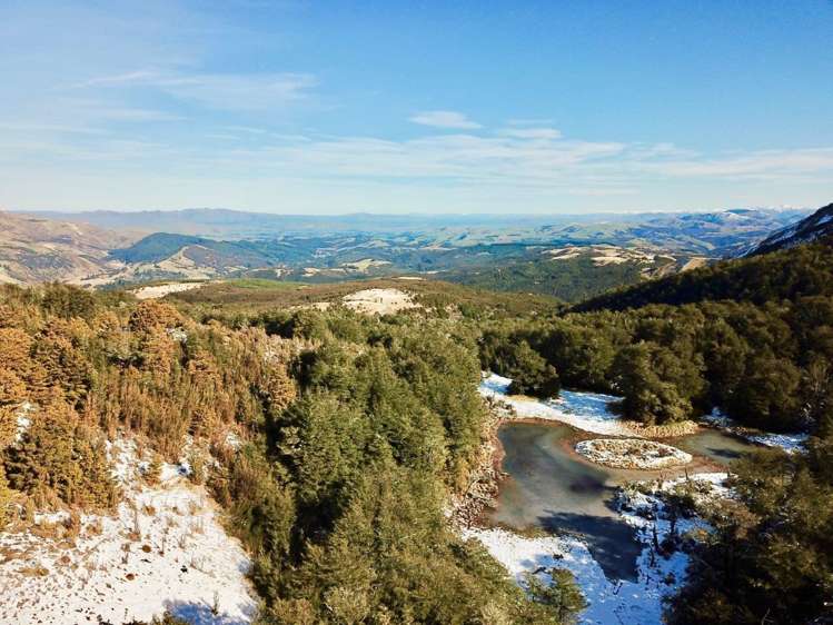 100 Mount Lyford Forest Drive Lyford_8