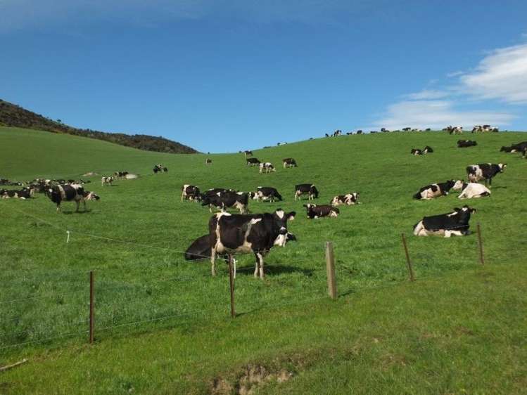 685 Benmore Otapiri Road Winton Surrounds_8