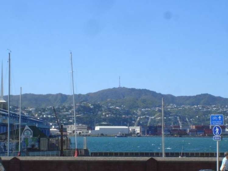 3/82 Oriental Parade Oriental Bay_9