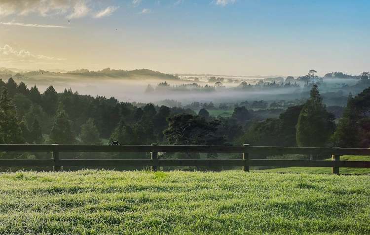 566 Blackbridge Road Waitoki_21