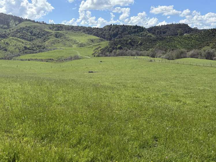 1/1745 Arapuni Road Parawera_22