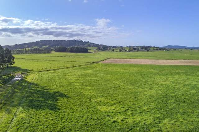 1323 SH One - Lot 1 Hikurangi_2