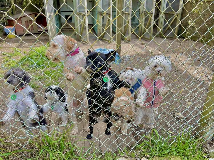 23 Goodwood Road Palmerston_17