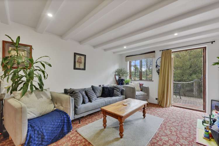 2/7 Quiet Woman Way Monaco_4