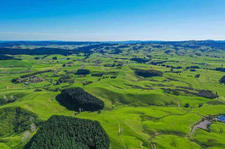 3629 State Highway 2 and Coxhead Road Mangatarata_6