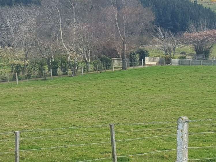 3997 Old Coach Road Clinton and Surrounds_17