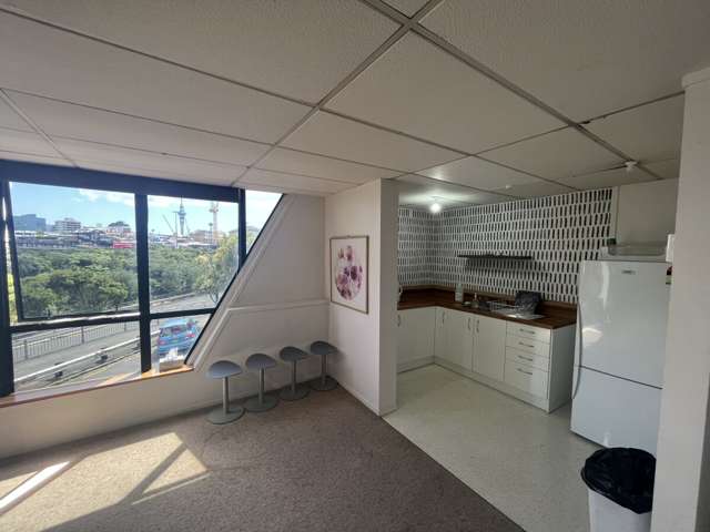 9 Karaka Street Eden Terrace_2