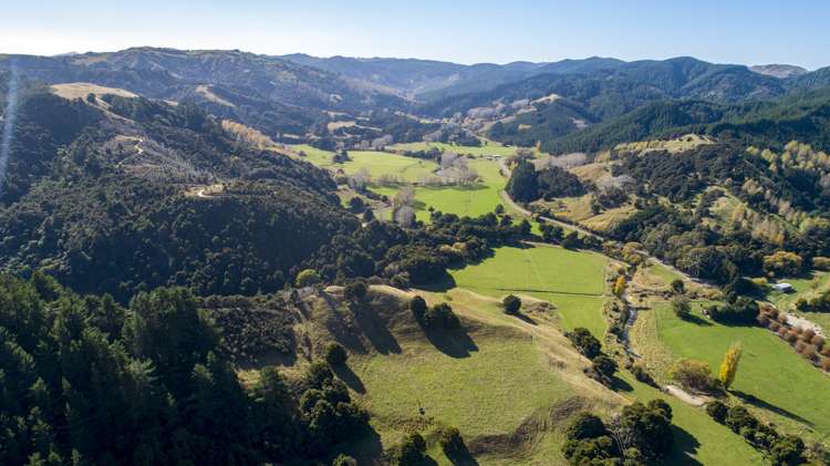 338 Tinui Valley Road Tinui_3