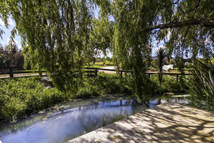 2/19 Molly Lane Te Awamutu_16