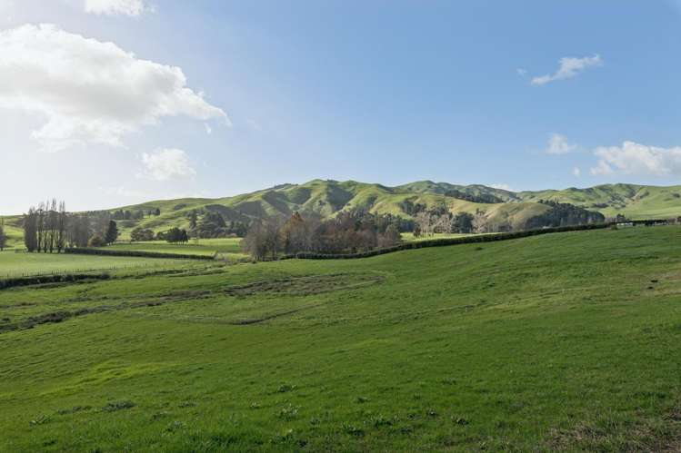 41 Matahuru Road Waiterimu_31