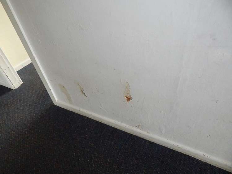 50 Neighbours Street Waimangaroa_22