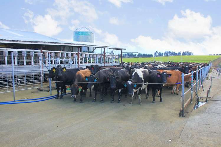 893 Kakapo Road Te Anau_12