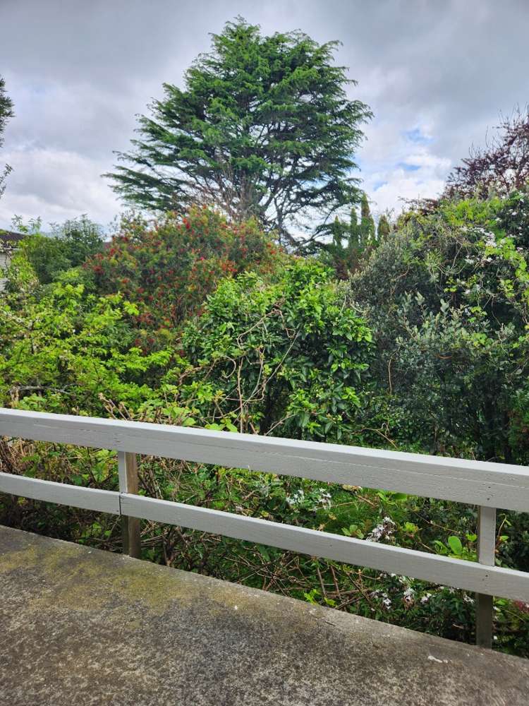 3/88 Banks Road Mount Wellington_12