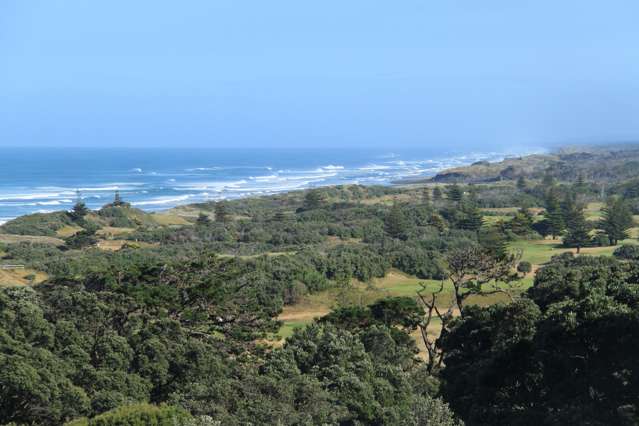 26 Domain Crescent Muriwai_3