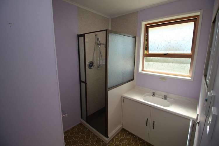 136e High Street Bulls_10