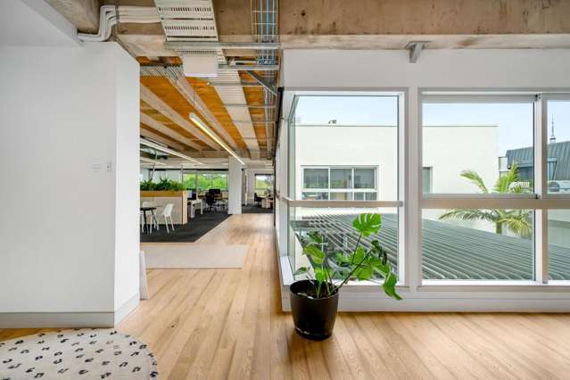 7 Falcon Street Parnell_3